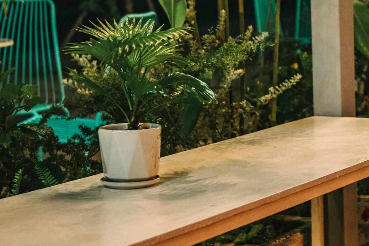 Dai Duong La Gi Homestay & Coffee Екстер'єр фото